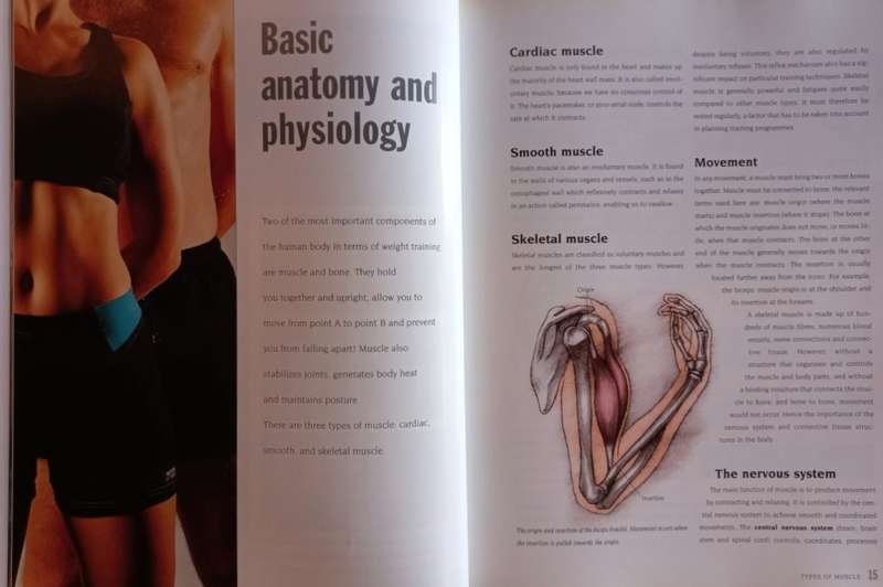 The Weight Training Handbook - Wayne Viljoen - Hardcover - 120 Pages