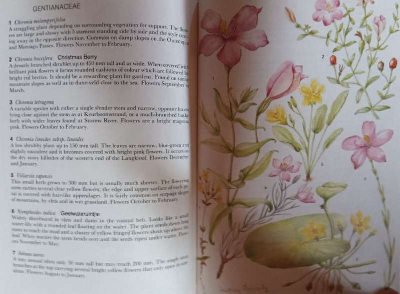 Outeniqua Tsitsikamma & Eastern Karoo - Audrey Moriarty - Softcover - 206 pages