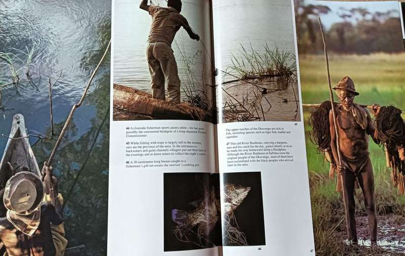 The Okavango Sea of Land- Land of Water - Peter Johnson and Anthony Bannister - Hardcover - 201 page