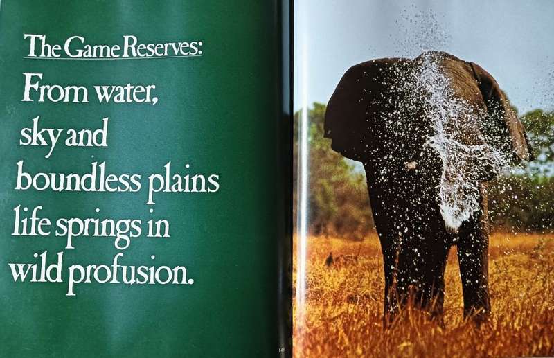 The Okavango Sea of Land- Land of Water - Peter Johnson and Anthony Bannister - Hardcover - 201 page