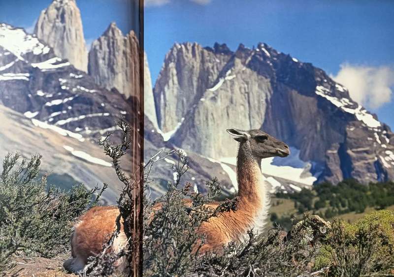 Top Treks of the World - Eyewitness Visual Dictionaries - Hardcover - 167 pages