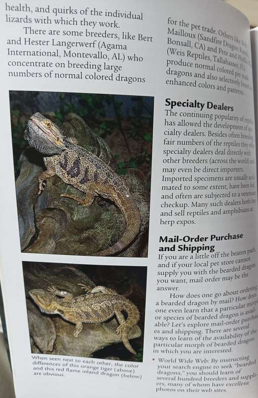 Bearded Dragons - RD  & Patrica Barlett - Softcover - 45 pages