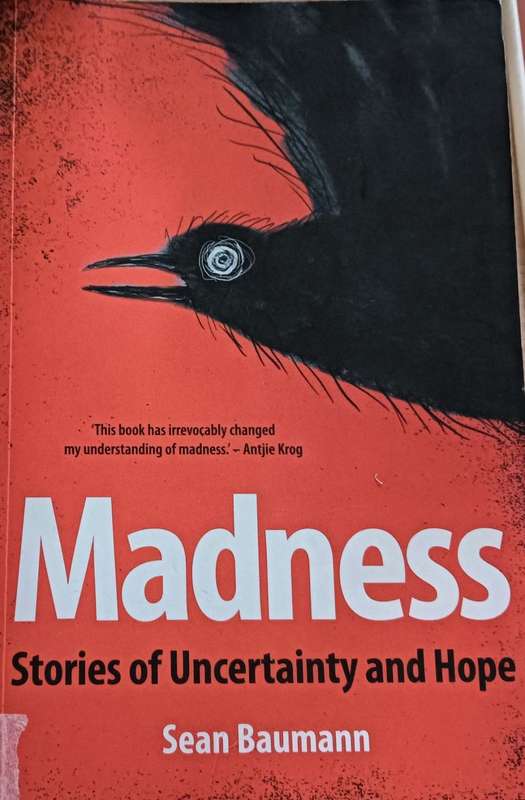 Madness - Stories of Uncertainty and Hope - Sean Baumann - Softcover - 347  pages