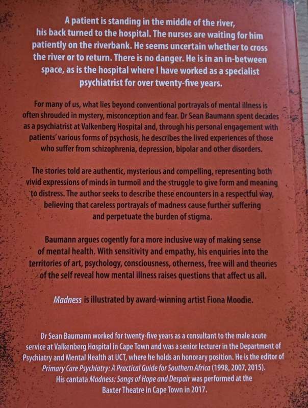 Madness - Stories of Uncertainty and Hope - Sean Baumann - Softcover - 347  pages