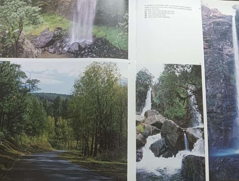 Bushveld Country - David Steele - Hardcover - 133 pages