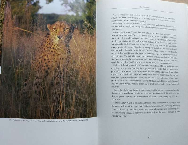 The Cheetahs of De Wildt - Ann van Dyk - Hardcover - 176 pages