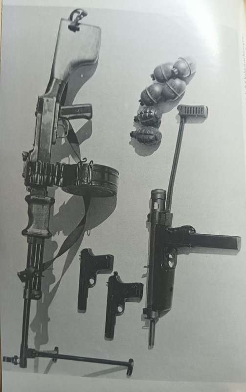 Southern African Terrorism - Michael Morris - Hardcover - 334 pages