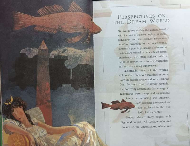 The Language of Dreams - David Fontana - Softcover - 248 pages