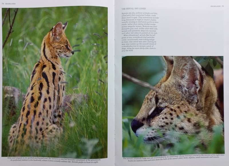 Southern Africa Spectacular World of Wildlife - Reader`s Digest - Hardcover - 272 Pages
