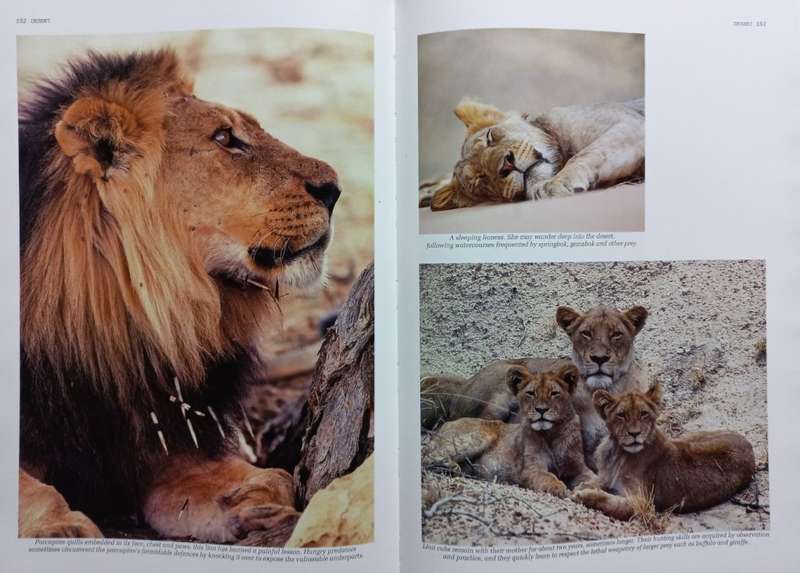 Southern Africa Spectacular World of Wildlife - Reader`s Digest - Hardcover - 272 Pages