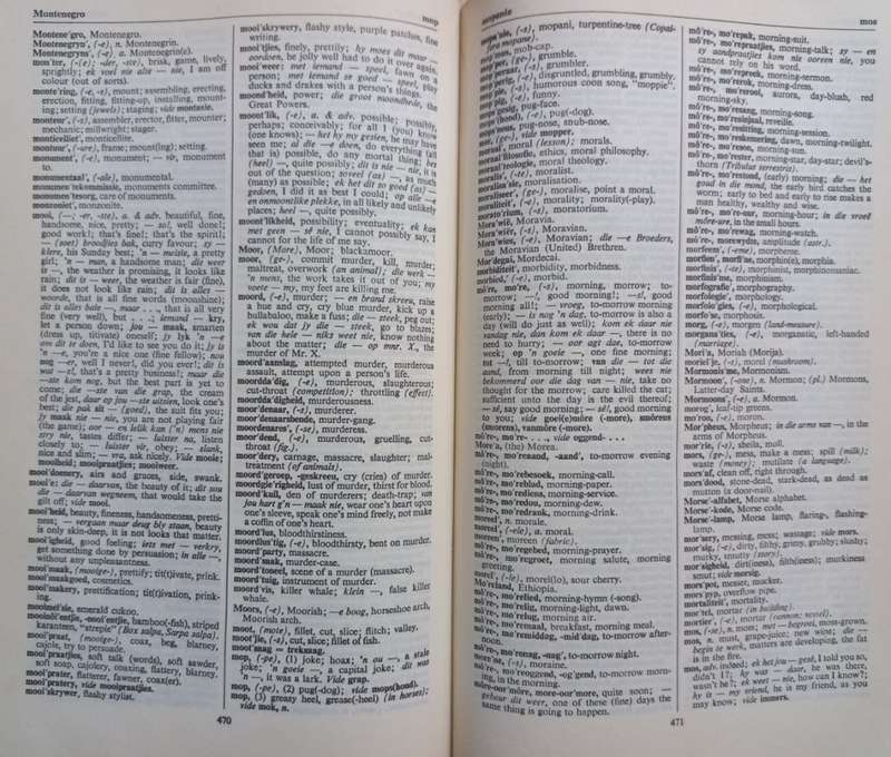 Tweetalige Woordeboek - Various Authors - Hardcover - 1899 pages