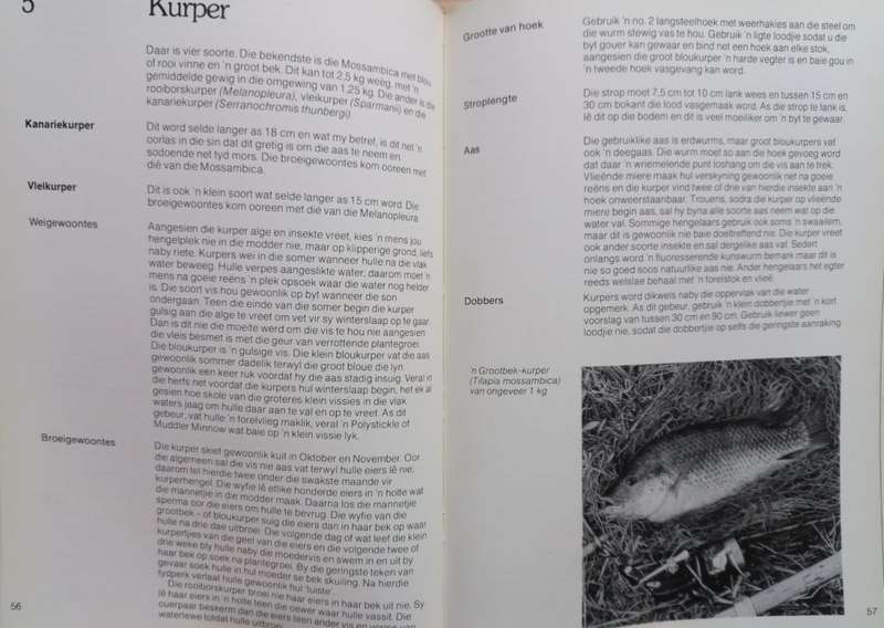 Varswaterhengel in Suid-Afrika - Michael G. Salomon - Hardcover - 156 pages