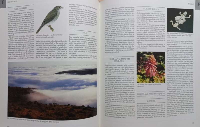 The Great South African Outdoors - Reader`s Digest - Hardcover - 368 pages
