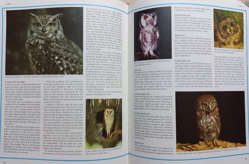 The Great South African Outdoors - Reader`s Digest - Hardcover - 368 pages
