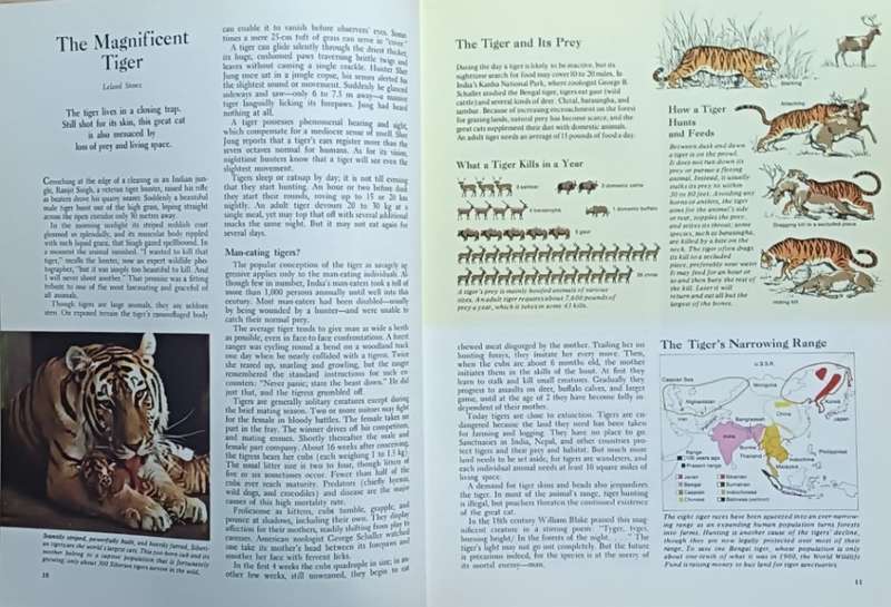 Our Magnificent Wildlife - Reader's Digest - Hardcover - 336 pages