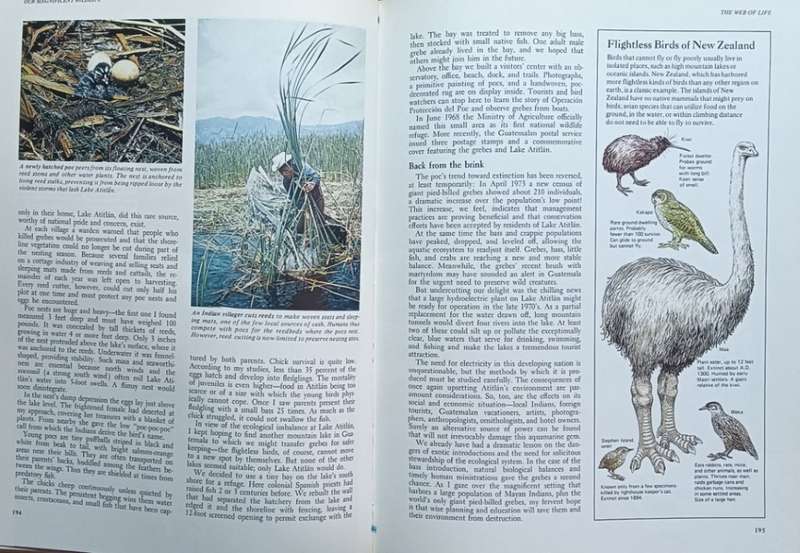 Our Magnificent Wildlife - Reader's Digest - Hardcover - 336 pages
