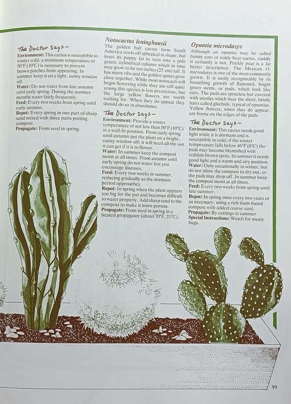 Dr. Greenfingers' Guide to Healthy Houseplants - Andrew Bichnell - Softcover - 160 Pages