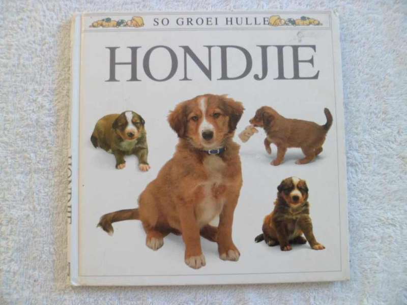So Groei Hulle - Hondjie