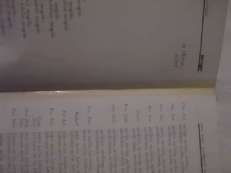Dictionary of 501 Spanish Verbs
