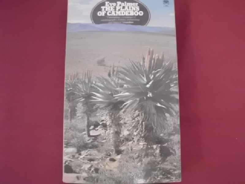 The Plain of Camdeboo - Eve palmer