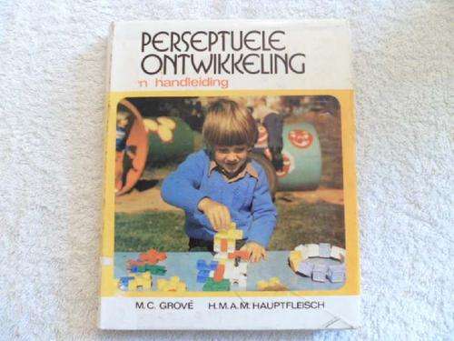 Perseptuele Ontwikkeling - n Handleiding