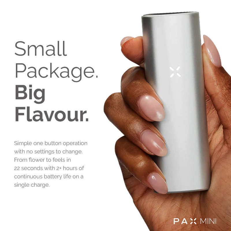 PAX Mini Dry Herb Vaporizer (Silver)