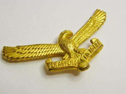 South Africa Air Force Cap Badge - one pin missing