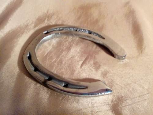 THIS IS A STUNNING CHROMED HORSE SHOE - ON OF A KIND PIECE!!!!