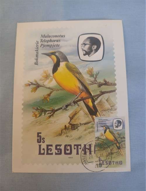 Lesotho 1981 Lesotho Birds Postcard