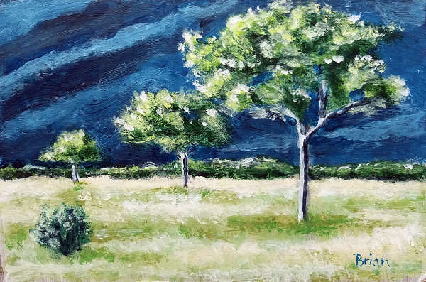 Approaching storm