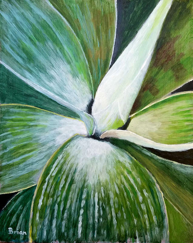 Agave heart