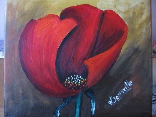 Red Poppy  - 2     260x260mm     by South African Artist dSomm'ville