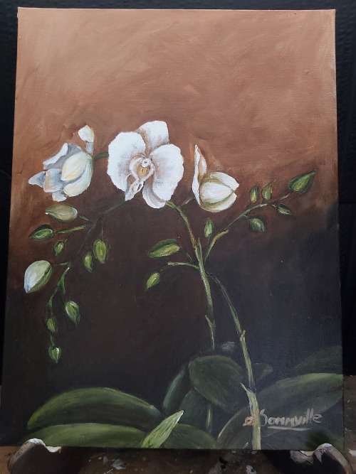 Orchids
