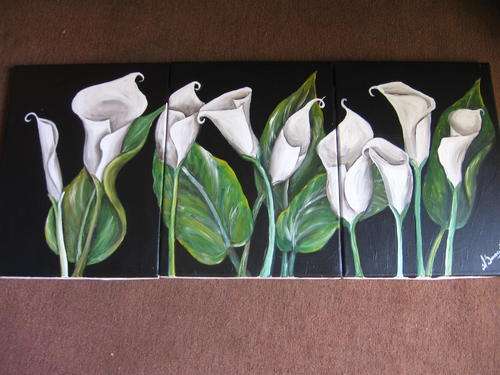 Sabies Arums    by dSomm'ville