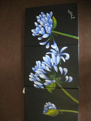 Agapanthus [400 x 300mm X 3]   by  -  dSomm'ville