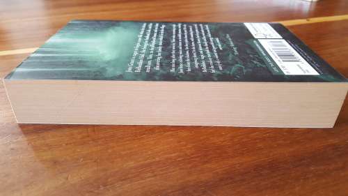 House of Echoes by Barbara Erskine