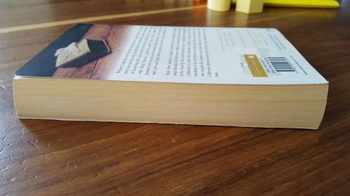The Italian Woman (Catherine de Medici #2) by Jean Plaidy