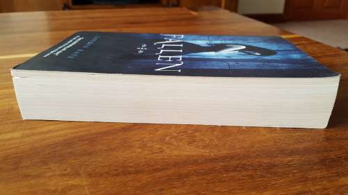 Fallen (Fallen #1) by Lauren Kate - Large Softcover
