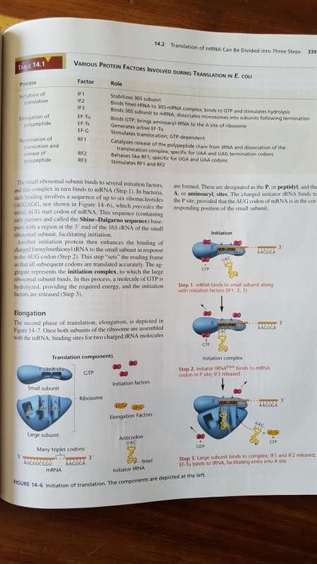 Concepts of Genetics by W Klug, M Cummings, C Spencer