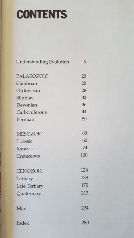 The Prehistoric World: The Fascinating Story of Life on Earth - Large Hardcover