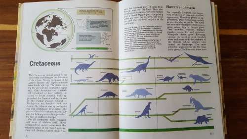 The Prehistoric World: The Fascinating Story of Life on Earth - Large Hardcover