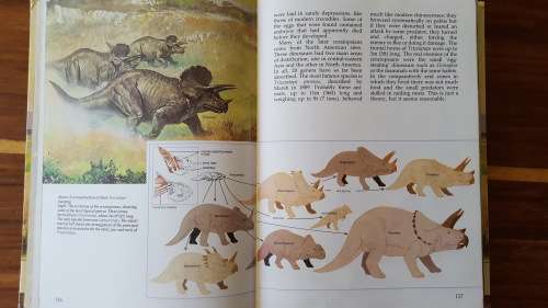 The Prehistoric World: The Fascinating Story of Life on Earth - Large Hardcover