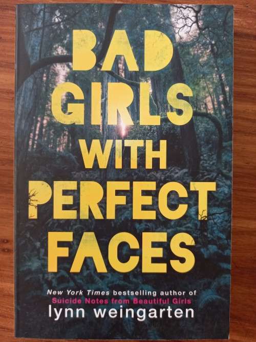 Bad Girls with Perfect Faces by Lynn Weingarten