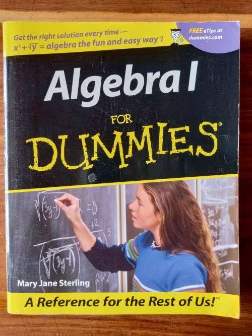 Algebra I for Dummies by Mary Jane Sterling