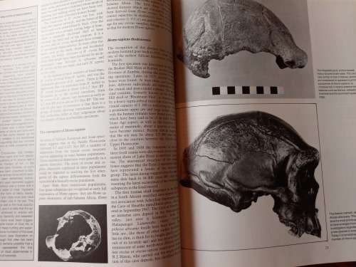 An Illustrated History of South Africa edited by Trewhella Cameron