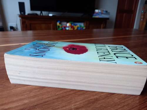 Solomon`s Song (The Potato Factory #3) by Bryce Courtenay