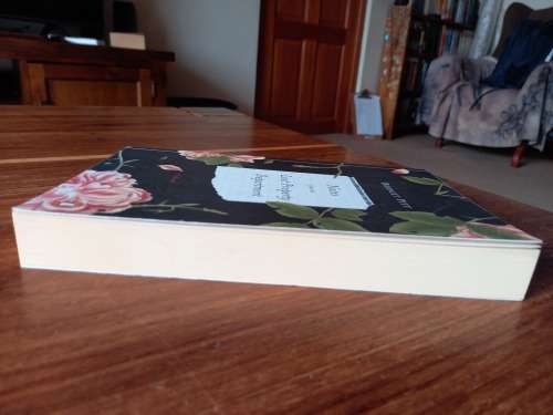 Notes from the Lost Property Department by Bridget Pitt - Large Softcover