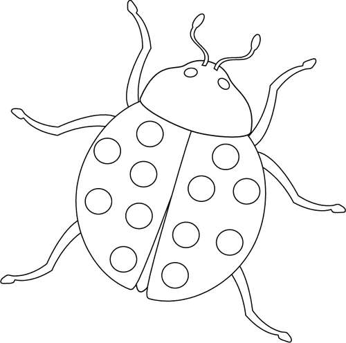 Bug Coloring Book - Ebook