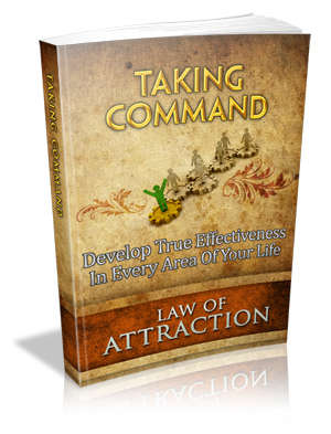 Taking Command - Ebook