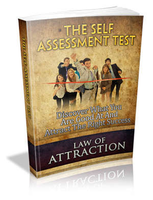 The Self Assessment Test - Ebook